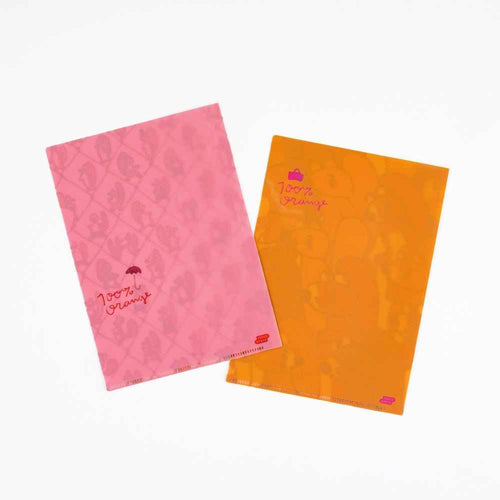 100%ORANGE: Hobonichi Folder Set of 2 for A5 Size - Squirrel Squadron