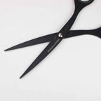 6.5 Scissors