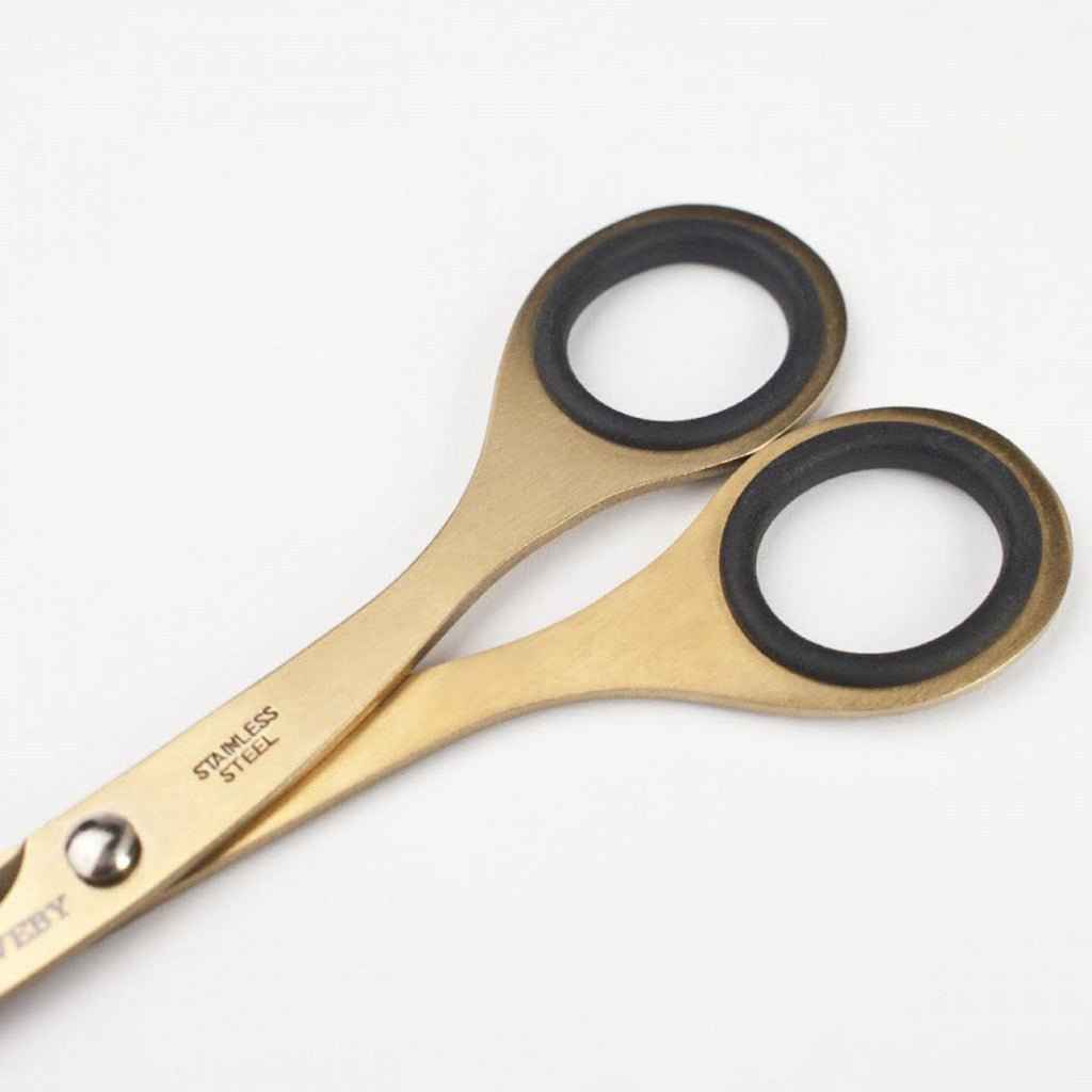 6.5 Scissors