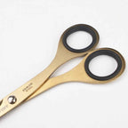 6.5 Scissors