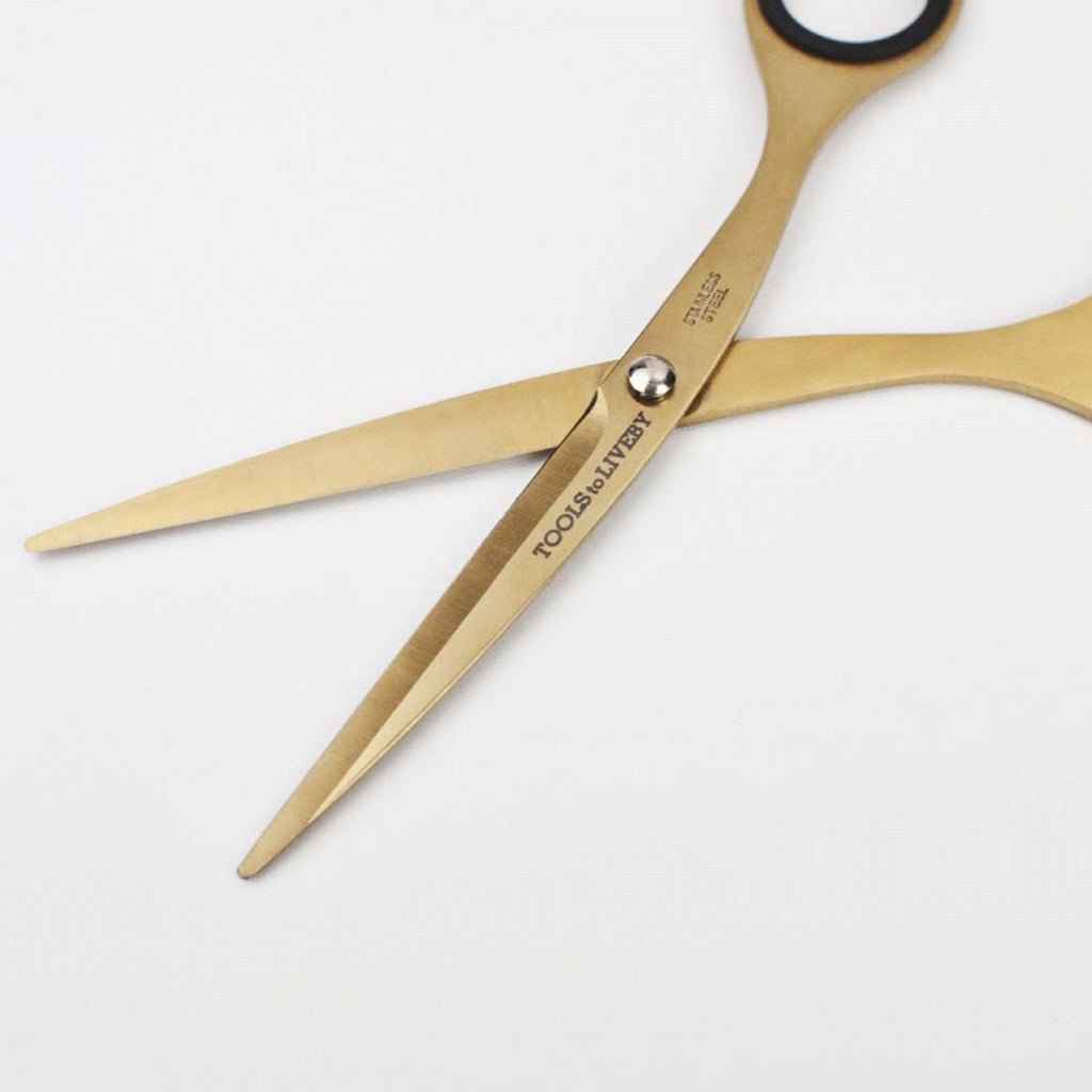 6.5 Scissors