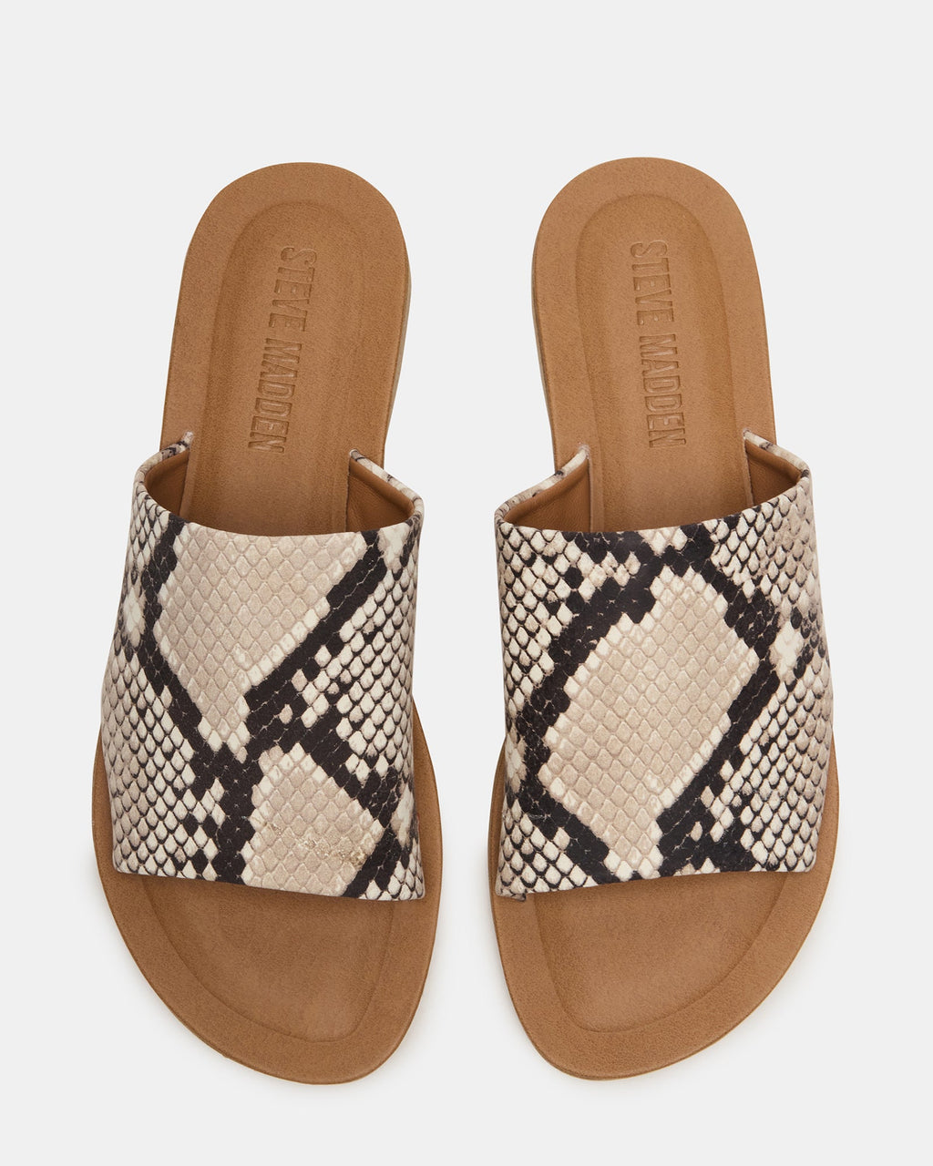 KIPP NATURAL SNAKE