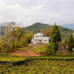 A Strong & Empowered Nepali Breakfast Tea