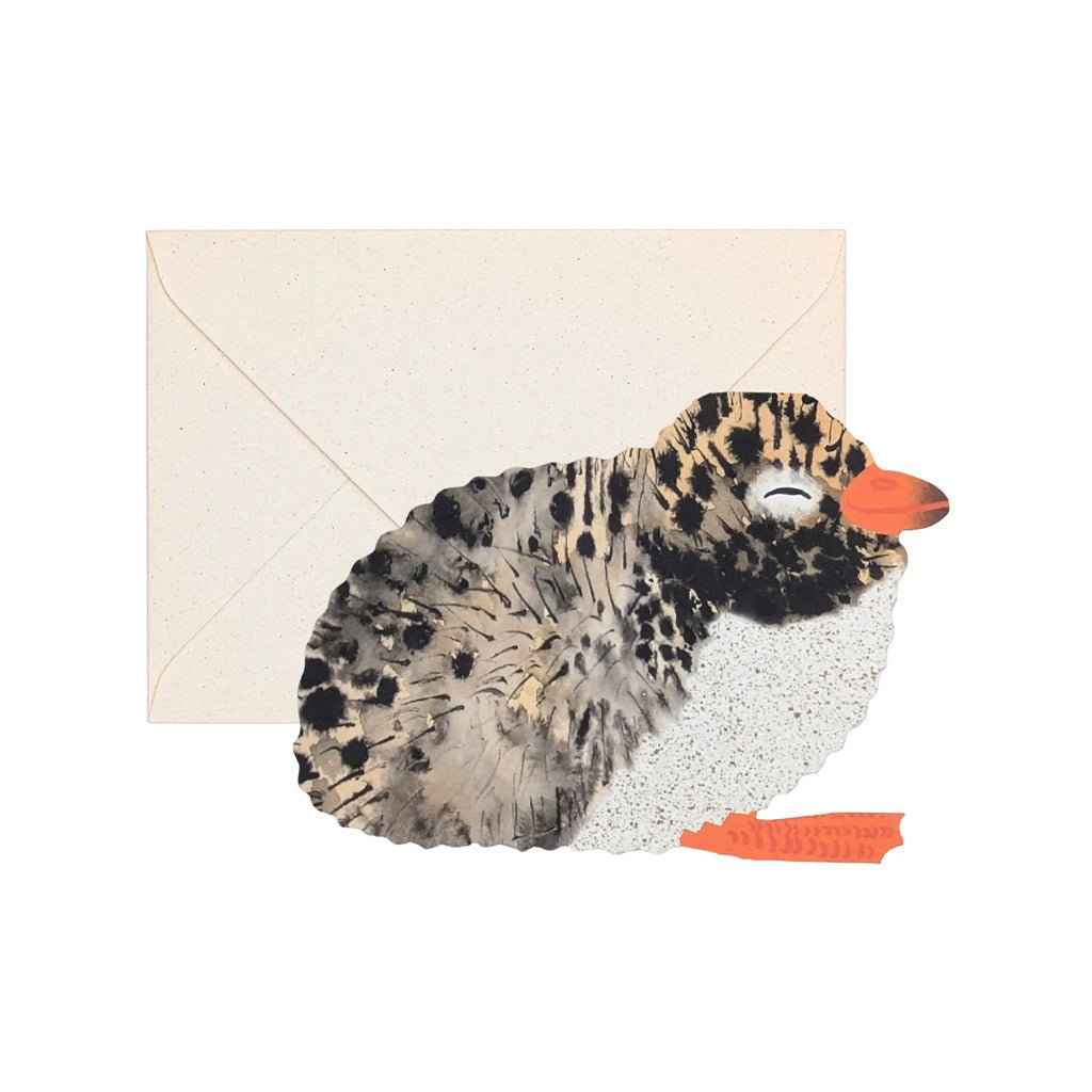 Arctic Tern Chick Card