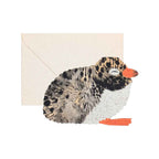 Arctic Tern Chick Card