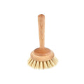 Bathtub Brush