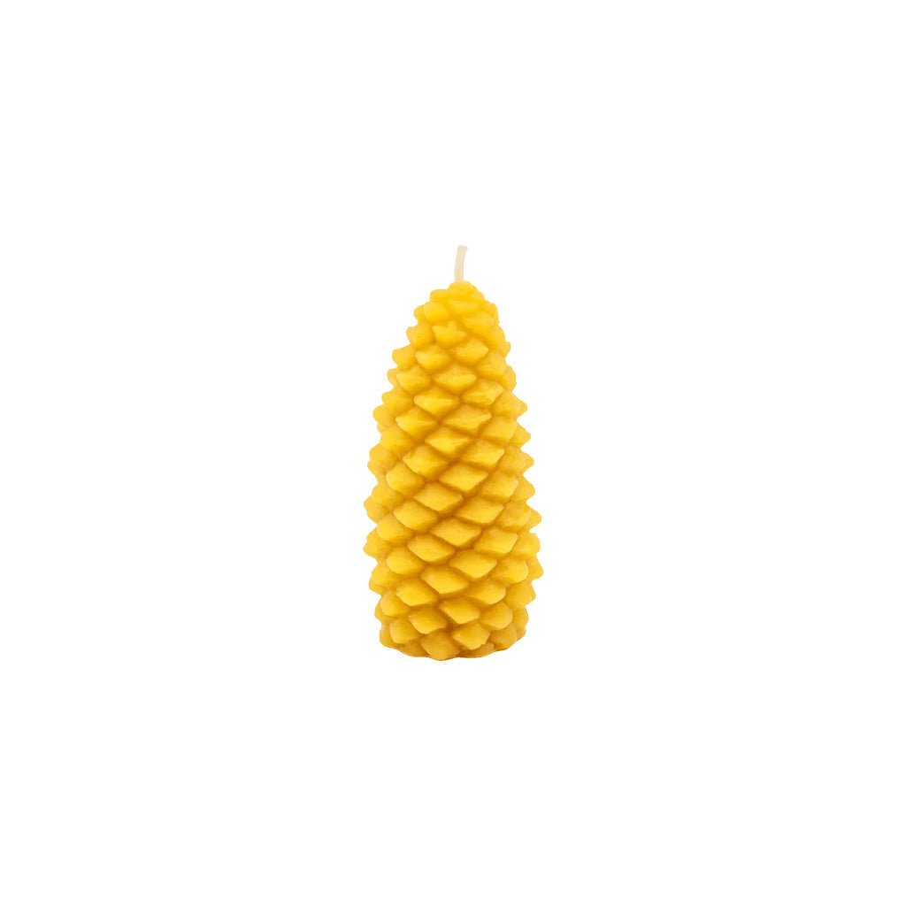 Beeswax Pinecone Candle - Famous | Online Store