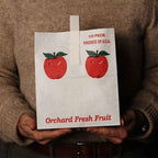 BGS Fresh Picks Stationery Kit