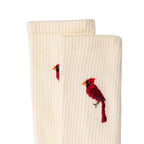 Cardinal Crew Sock - Famous | Online Store