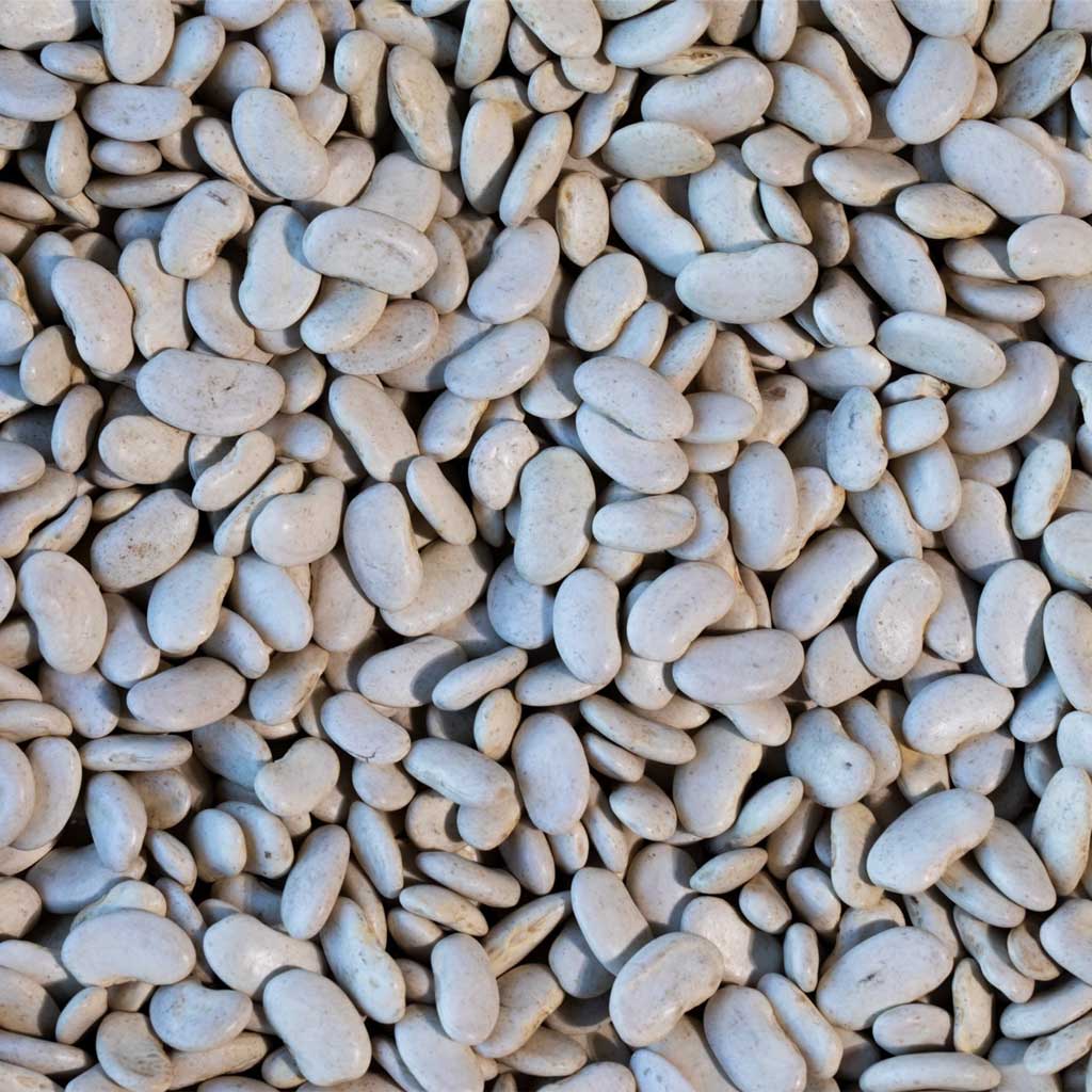 Cassoulet Beans - Famous | Online Store