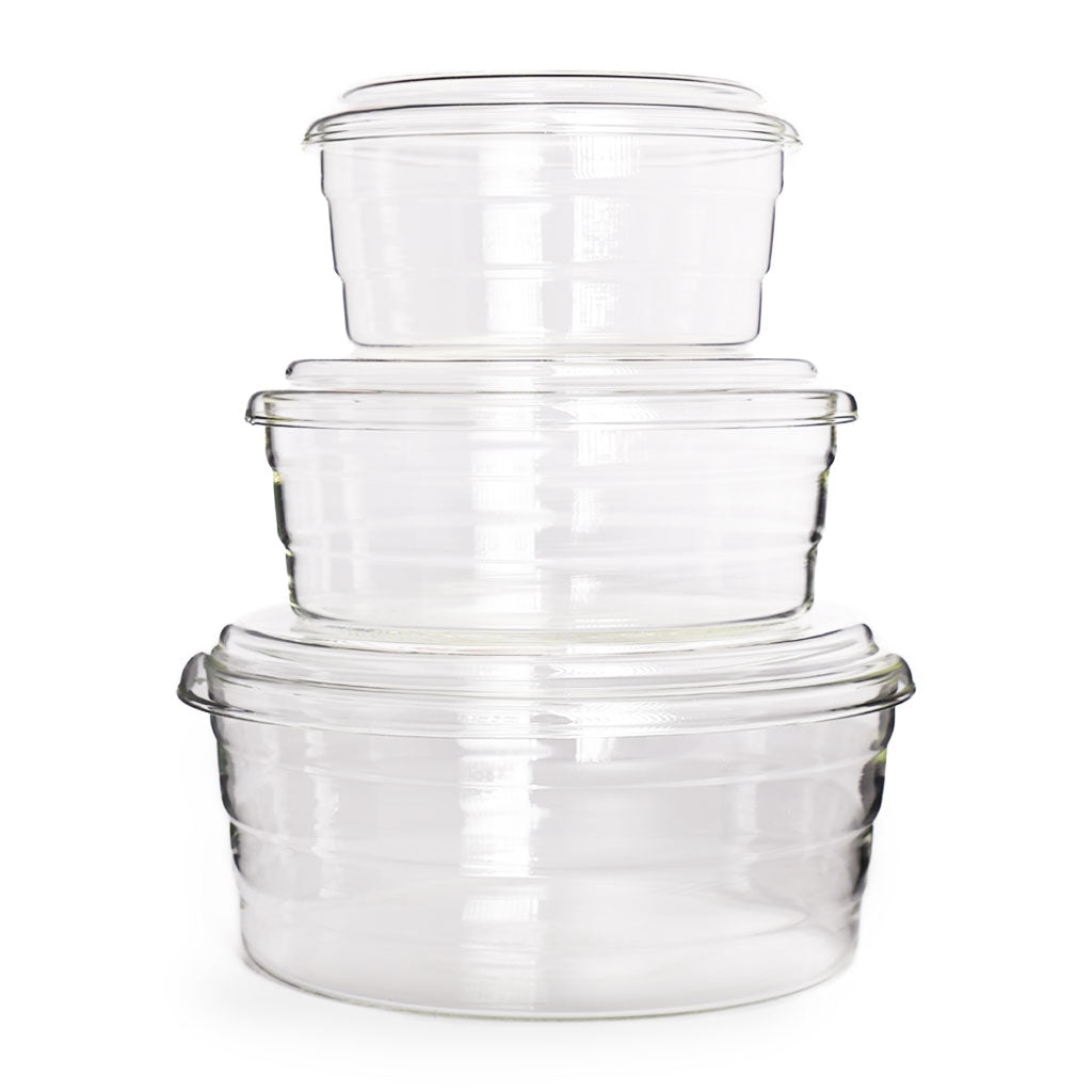 Centric Glass Dish, Set of 3 - Famous | Online Store