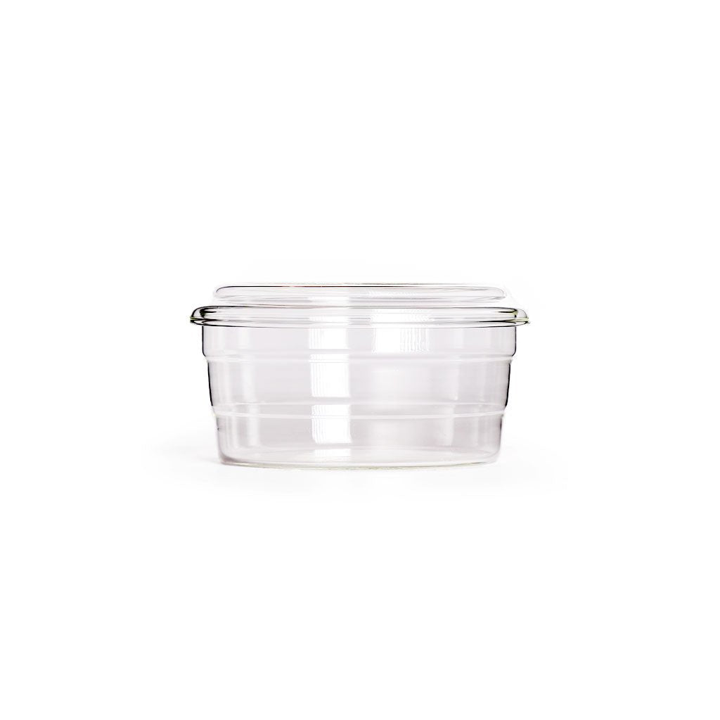 Centric Glass Dish - Famous | Online Store