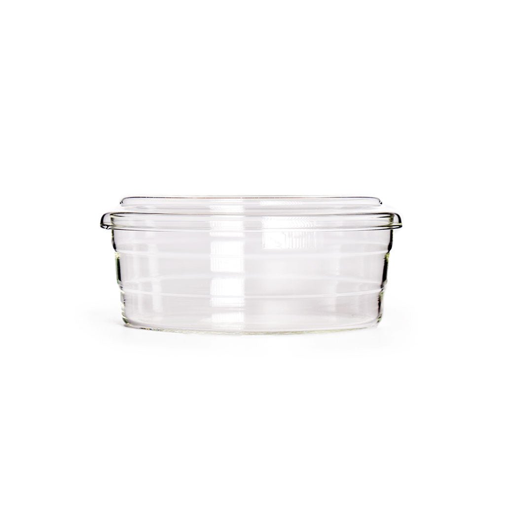 Centric Glass Dish - Famous | Online Store