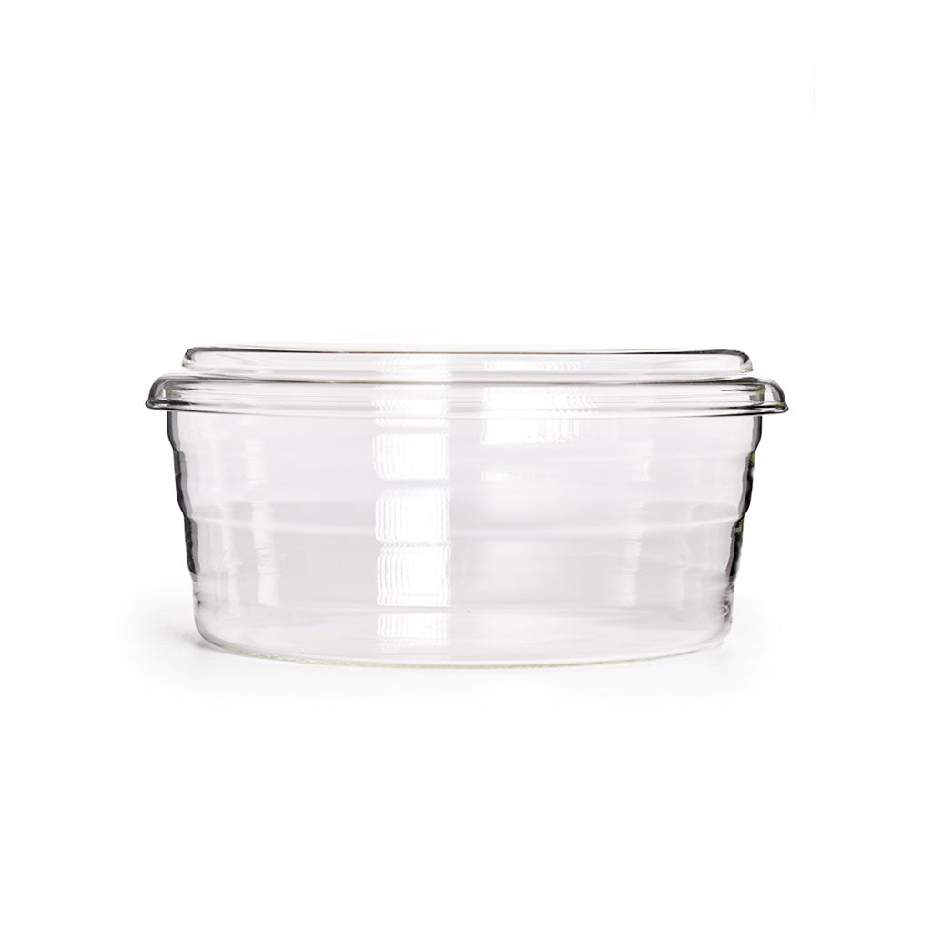 Centric Glass Dish - Famous | Online Store