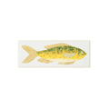 Cheery Fish Card - Famous | Online Store