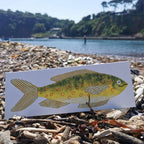 Cheery Fish Card - Famous | Online Store