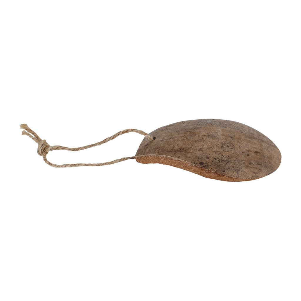 Coconut Pan Scraper - Famous | Online Store