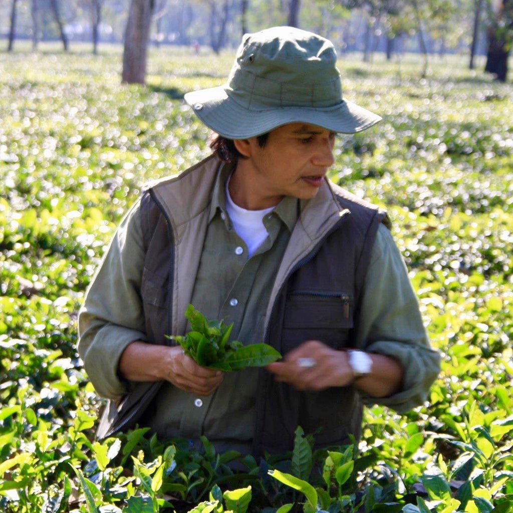 Earl Grey for Elephants Tea - Famous | Online Store