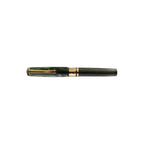 Esterbrook Model J Palm Green Fountain Pen - Famous | Online Store