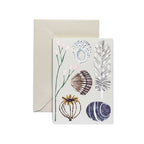 Finds Card - Famous | Online Store