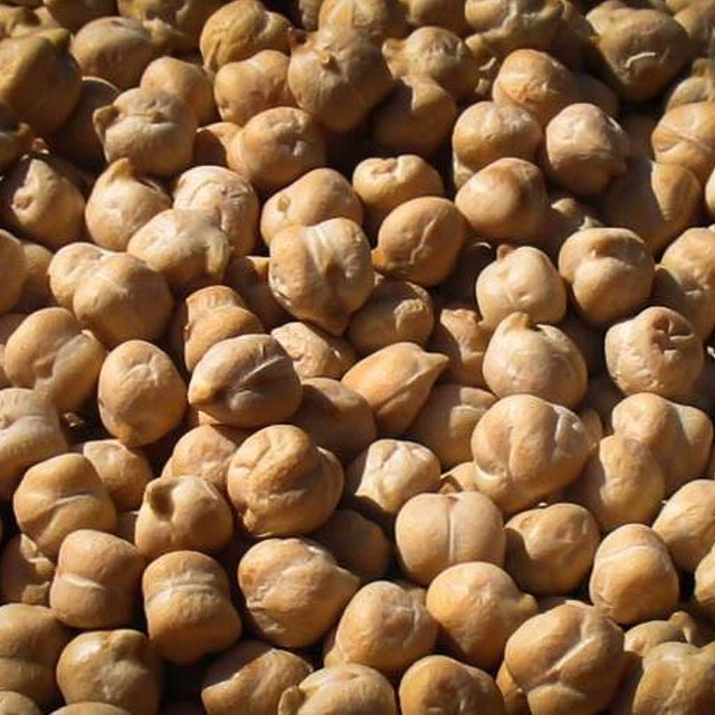 Garbanzo Beans - Famous | Online Store