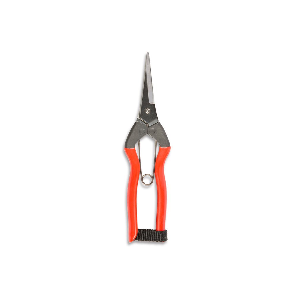 Garden Snips - Famous | Online Store