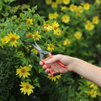 Garden Snips - Famous | Online Store