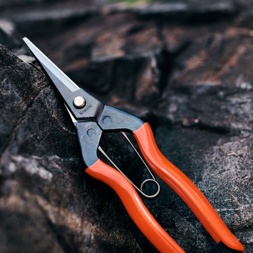 Garden Snips - Famous | Online Store