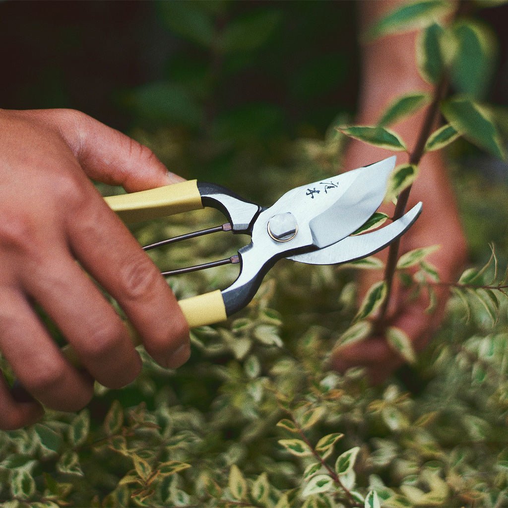 Higurashi GR Secateurs - Famous | Online Store