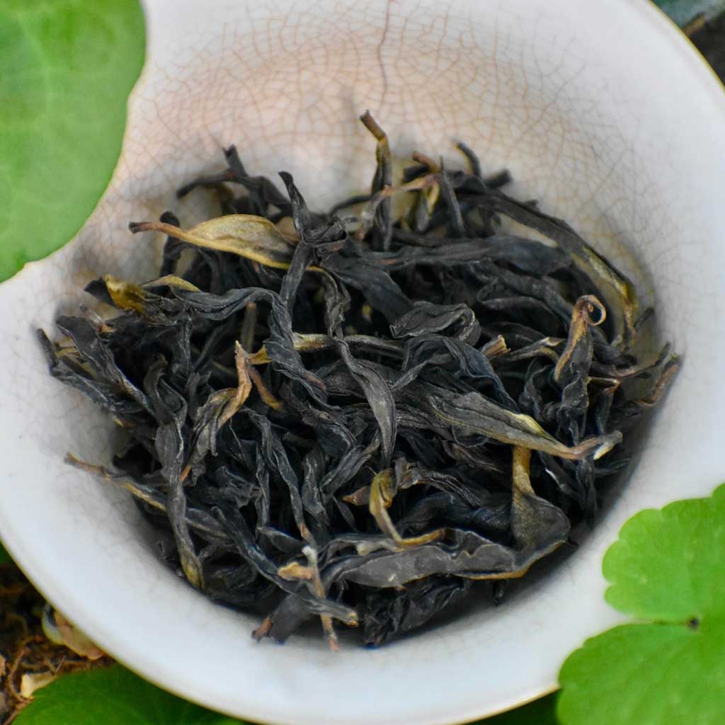 Hummingbird's Dream Oolong Tea - Famous | Online Store