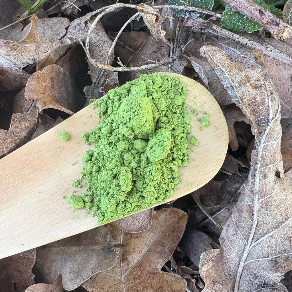 Irie Ceremonial Matcha - Famous | Online Store