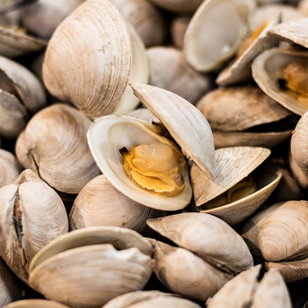 Island Creek Littleneck Clams w/ Confit Garlic, Chili, and Olive Oil - Famous | Online Store