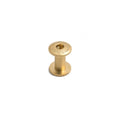 Journal Brass Binding Screw - Famous | Online Store
