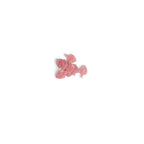 Kolsvart Swedish Fish - Famous | Online Store