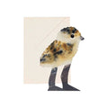Lapwing Chick Card - Famous | Online Store