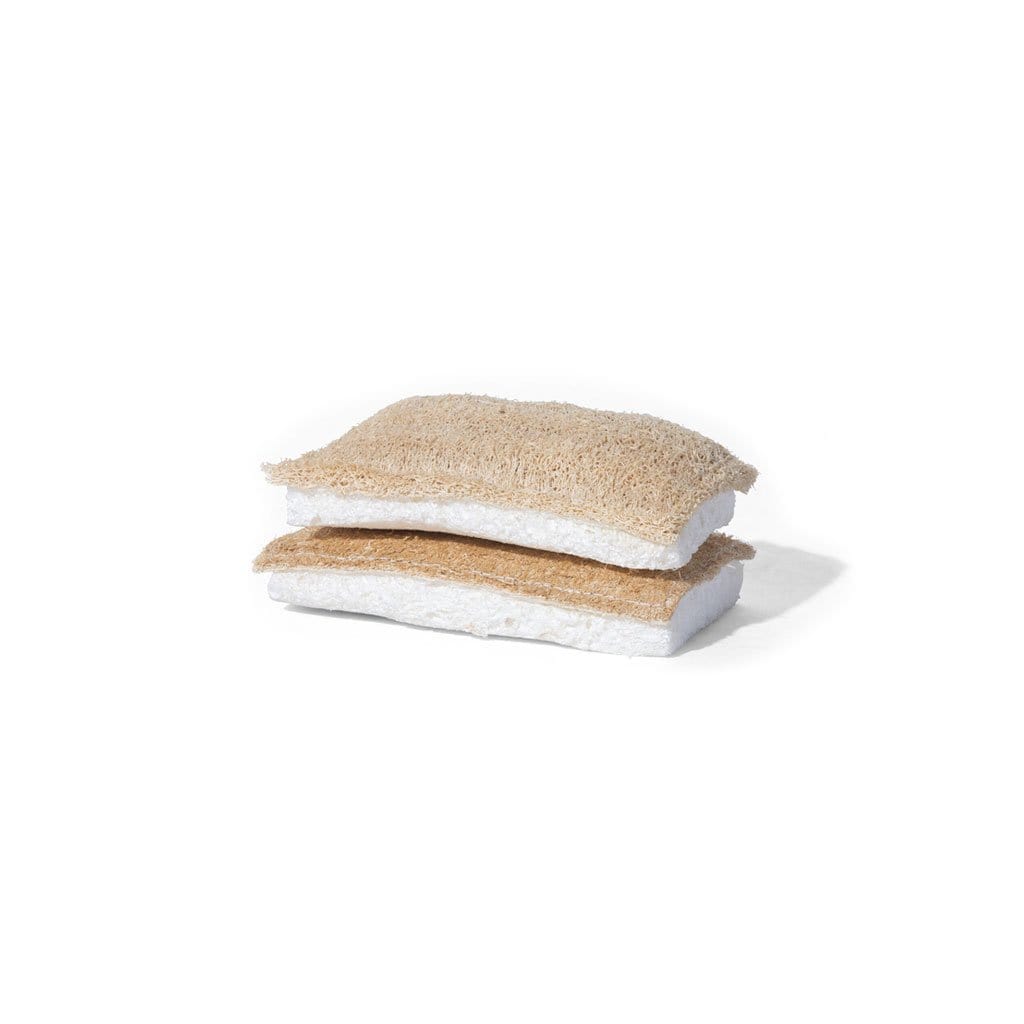 Mater Sponge - Famous | Online Store