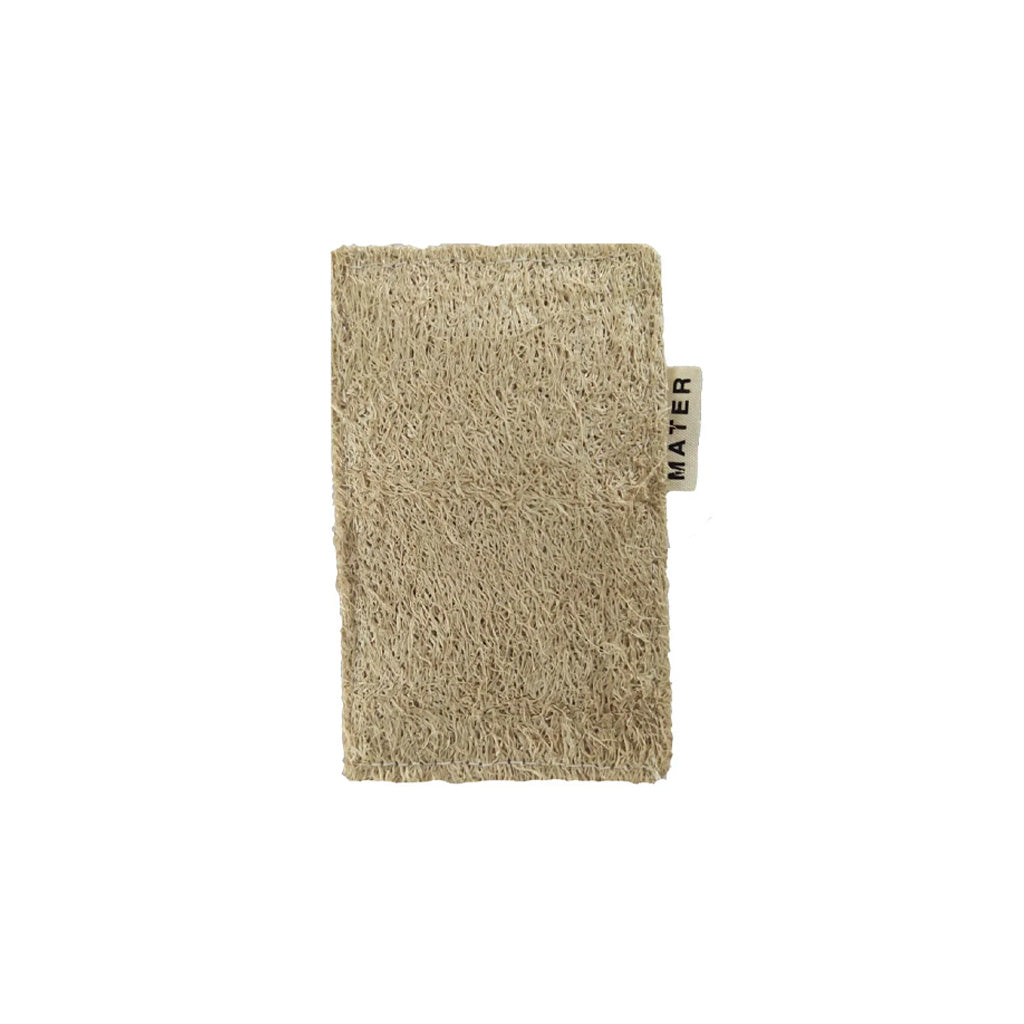 Mater Sponge - Famous | Online Store