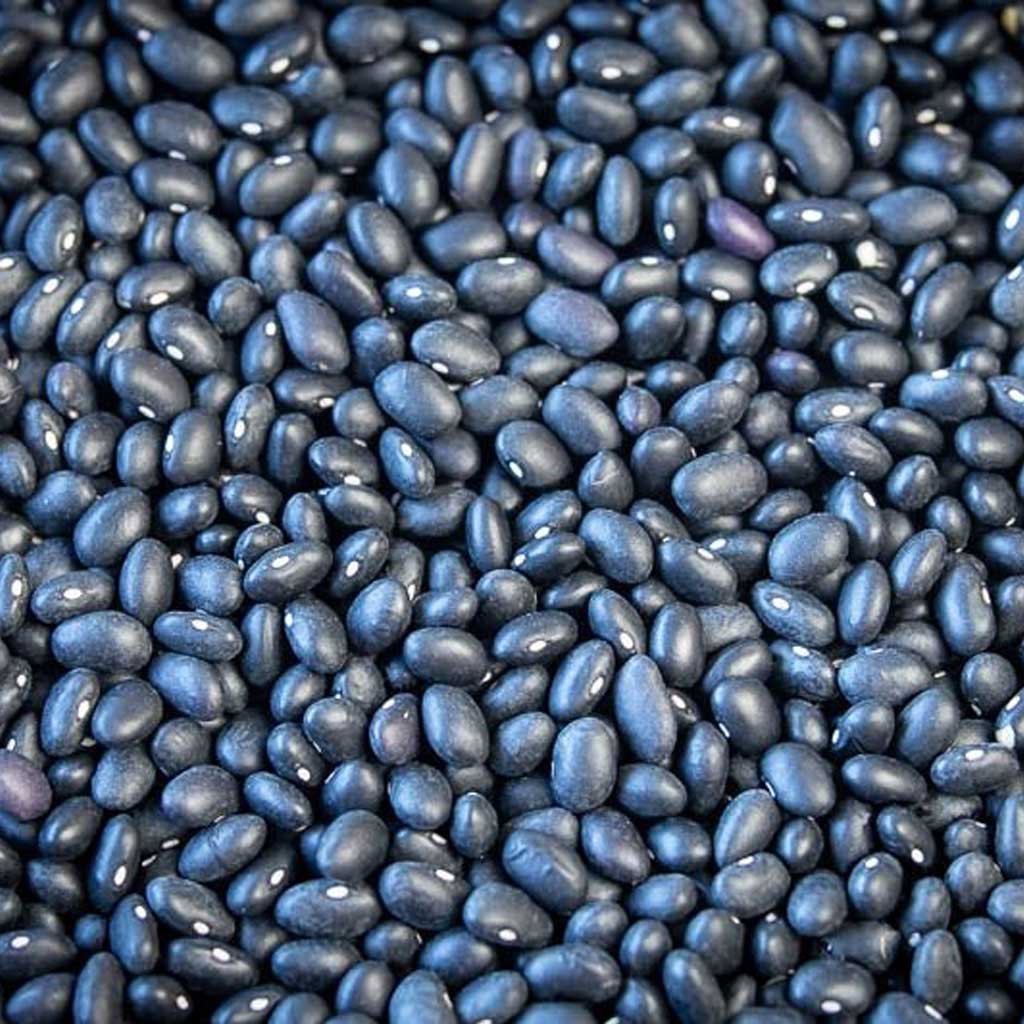 Midnight Black Beans - Famous | Online Store