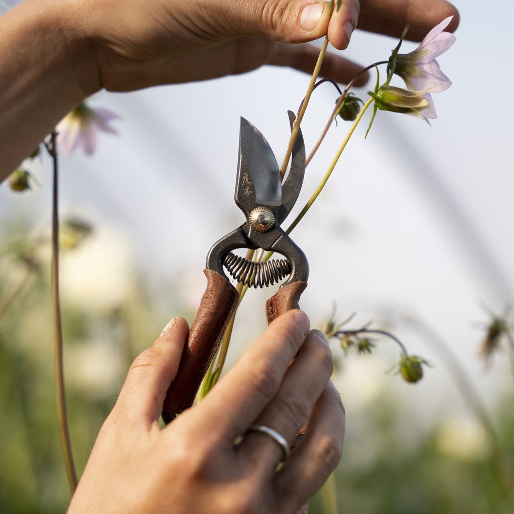 Mini Secateurs with Leather Grips - Famous | Online Store