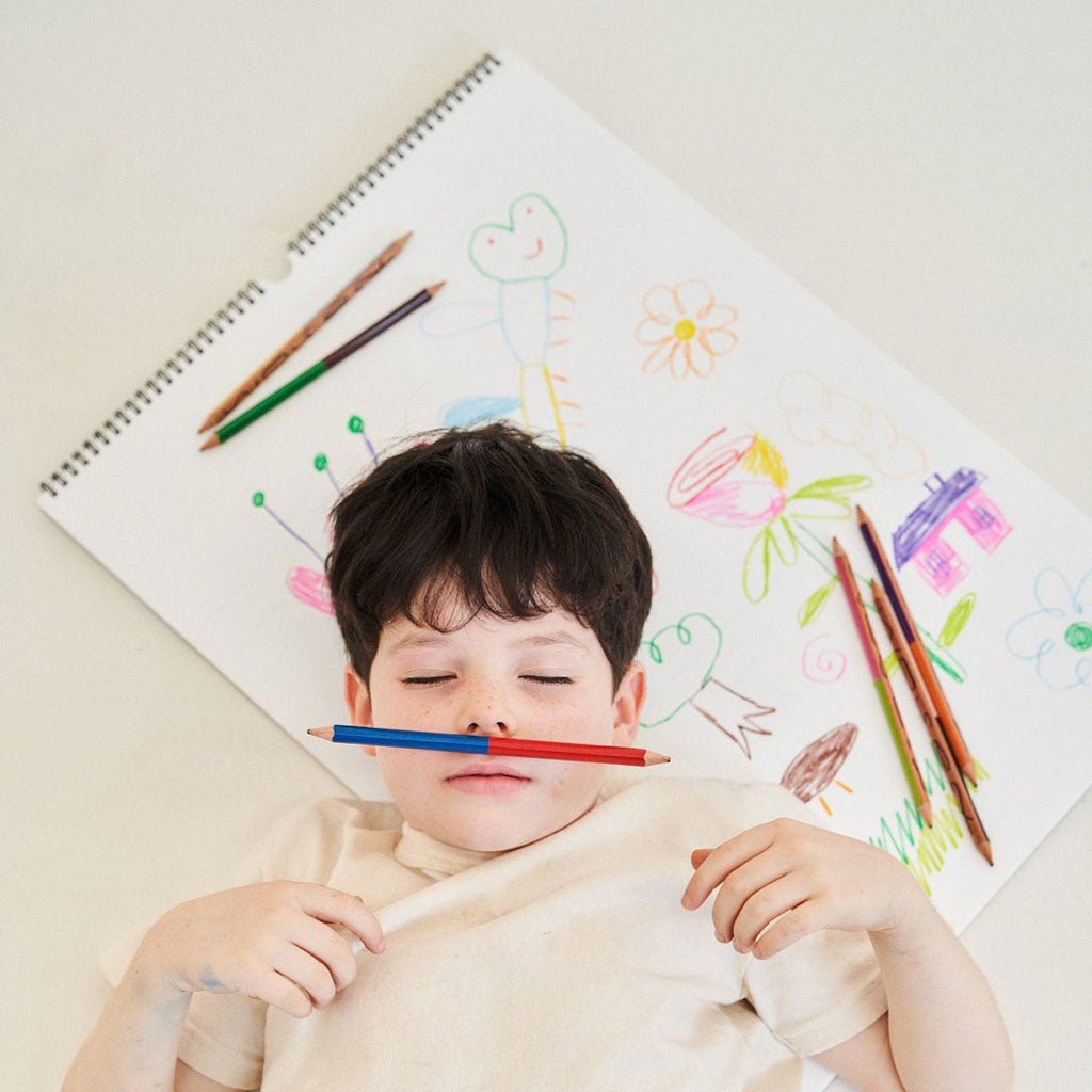 Monier's Dream Colored Pencils - Famous | Online Store