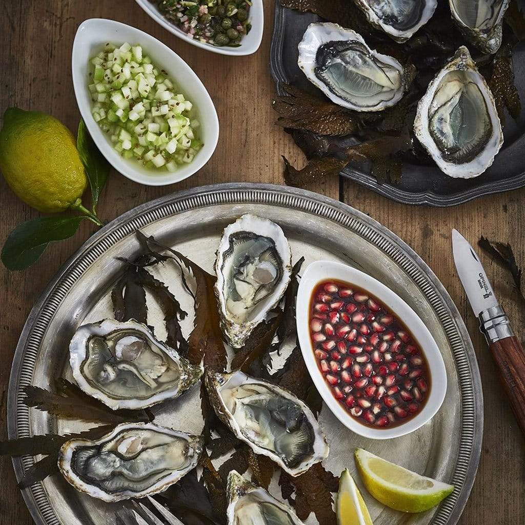 No. 9 Oyster and Shellfish Knife - Famous | Online Store