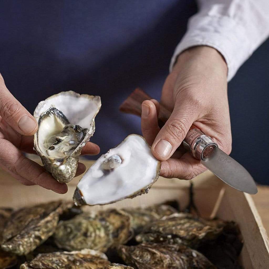 No. 9 Oyster and Shellfish Knife - Famous | Online Store