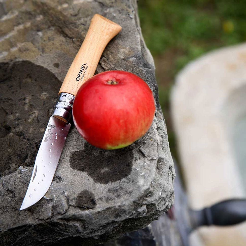 Opinel Stainless Steel Folding Knife Collector Set - Famous | Online Store