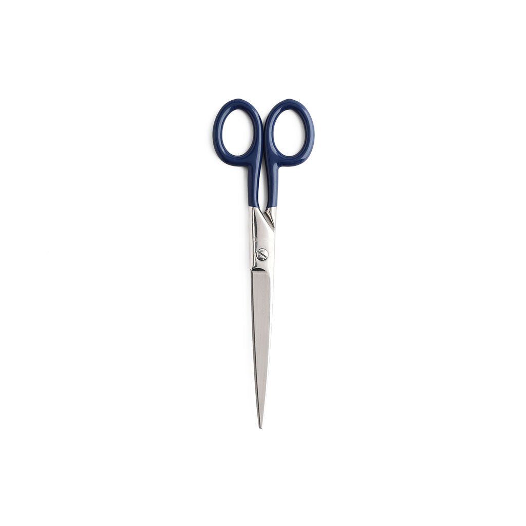 Renewal Stainless Steel Scissors