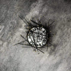 Pin Magnet