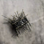 Pin Magnet