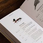 Pocket Nature: Birdwatching