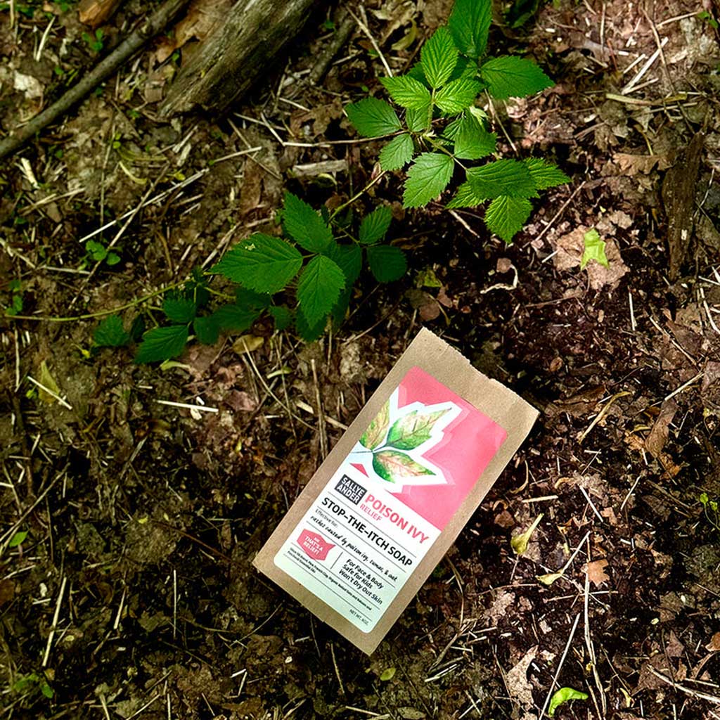 Savon contre l'herbe à puce