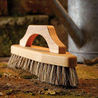 Scrub Brush