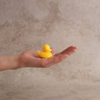 Sheep's Milk Soap Ducklings, Set of 2